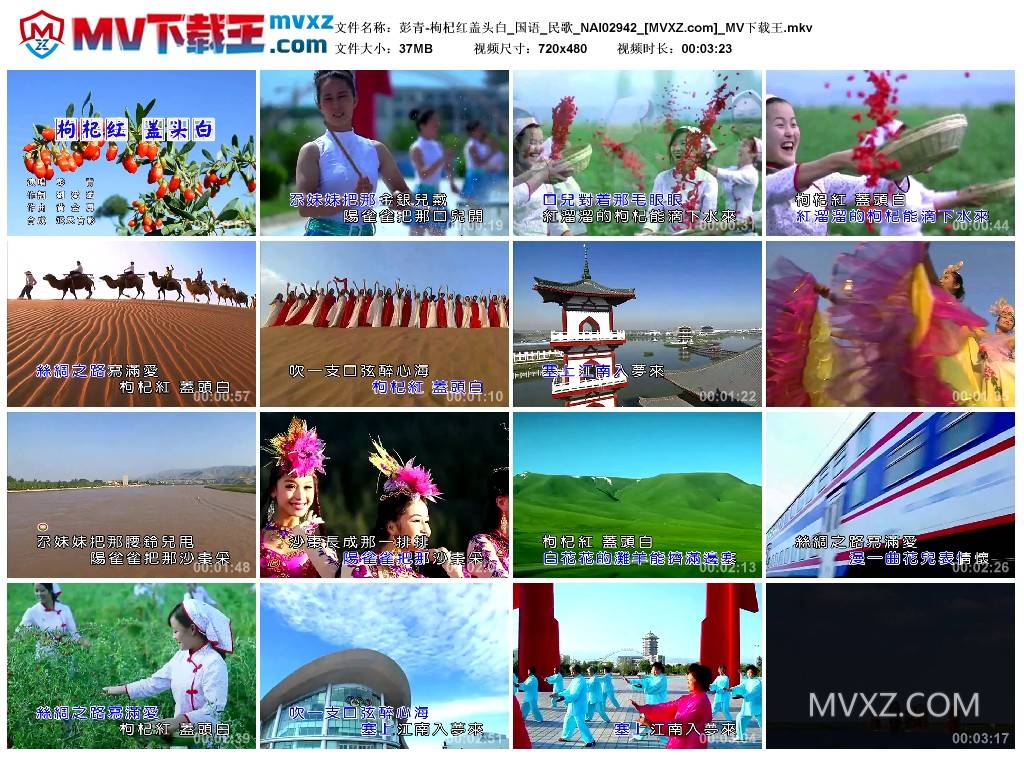 彭青-枸杞红盖头白_国语_民歌_NAI02942